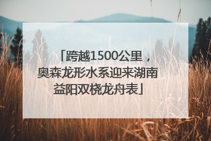 跨越1500公里，奥森龙形水系迎来湖南益阳双桡龙舟表