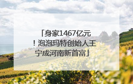 身家1467亿元！泡泡玛特创始人王宁成河南新首富