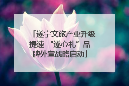 遂宁文旅产业升级提速 “遂心礼”品牌外宣战略启动