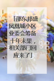 邵东邦盛凤凰城小区业委会筹备十年未果，相关部门回应来了