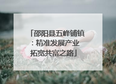 邵阳县五峰铺镇：精准发展产业 拓宽共富之路
