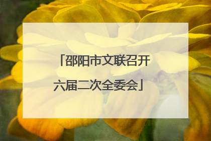 邵阳市文联召开六届二次全委会