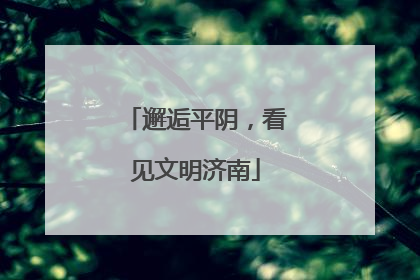 邂逅平阴，看见文明济南
