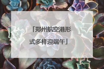 郑州航空港形式多样迎端午