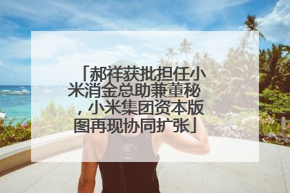 郝祥获批担任小米消金总助兼董秘，小米集团资本版图再现协同扩张