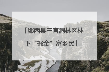 郧西县三官洞林区林下“掘金”富乡民