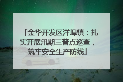 金华开发区洋埠镇：扎实开展汛期三普点巡查，筑牢安全生产防线