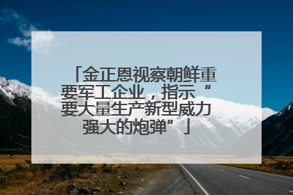 金正恩视察朝鲜重要军工企业，指示“要大量生产新型威力强大的炮弹”