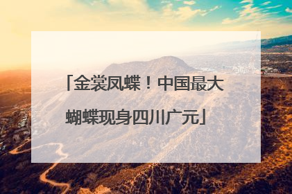金裳凤蝶！中国最大蝴蝶现身四川广元