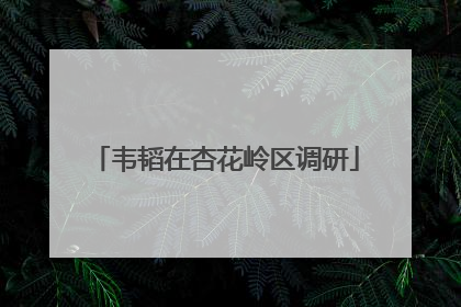 韦韬在杏花岭区调研