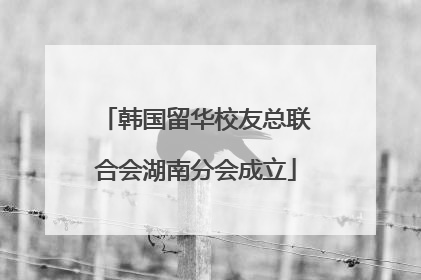 韩国留华校友总联合会湖南分会成立