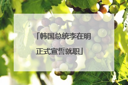 韩国总统李在明正式宣誓就职