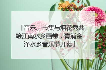 音乐、市集与烟花秀共绘江南水乡画卷，青浦金泽水乡音乐节开幕