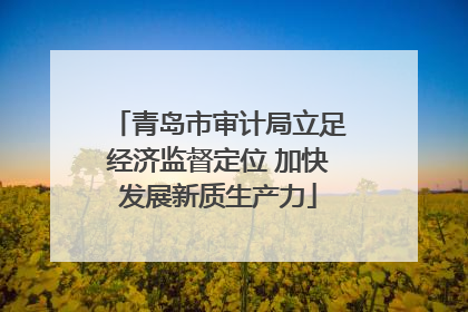 青岛市审计局立足经济监督定位 加快发展新质生产力