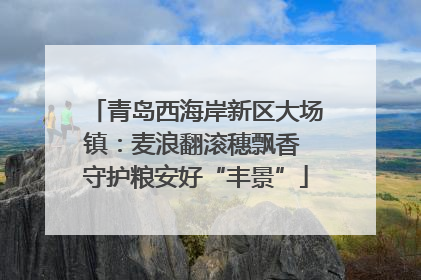 青岛西海岸新区大场镇：麦浪翻滚穗飘香 守护粮安好“丰景”