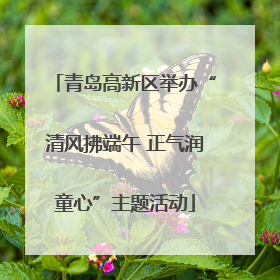 青岛高新区举办“清风拂端午 正气润童心”主题活动