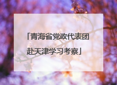 青海省党政代表团赴天津学习考察