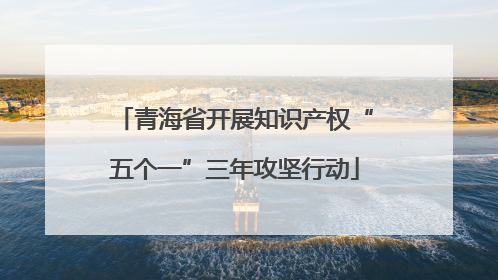 青海省开展知识产权“五个一”三年攻坚行动