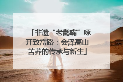 非遗“老鹳嘴”啄开致富路：会泽高山苦荞的传承与新生