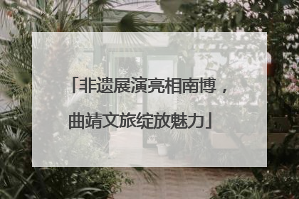 非遗展演亮相南博，曲靖文旅绽放魅力