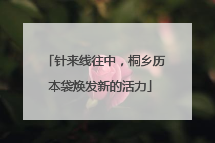 针来线往中，桐乡历本袋焕发新的活力