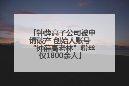 钟薛高子公司被申请破产 创始人账号“钟薛高老林”粉丝仅1800余人