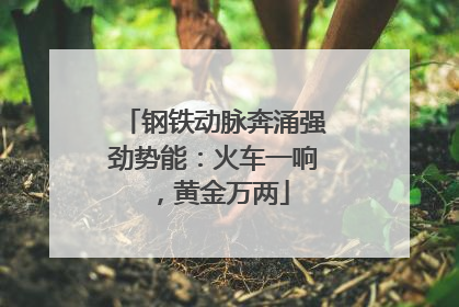钢铁动脉奔涌强劲势能：火车一响，黄金万两