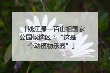 钱江源—百山祖国家公园候选区：“这是一个动植物乐园”