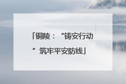 铜陵：“铸安行动”筑牢平安防线