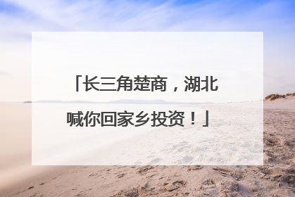 长三角楚商，湖北喊你回家乡投资！