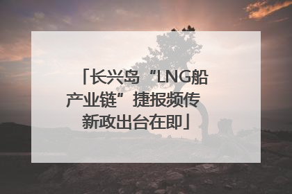 长兴岛“LNG船产业链”捷报频传 新政出台在即