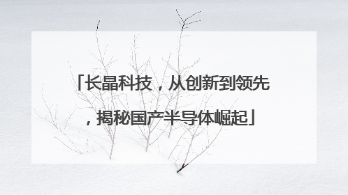 长晶科技，从创新到领先，揭秘国产半导体崛起