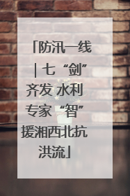 防汛一线｜七“剑”齐发 水利专家“智”援湘西北抗洪流