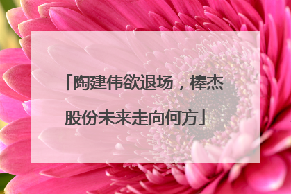 陶建伟欲退场，棒杰股份未来走向何方