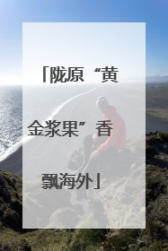 陇原“黄金浆果”香飘海外