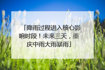 降雨过程进入核心影响时段！未来三天，重庆中雨大雨暴雨