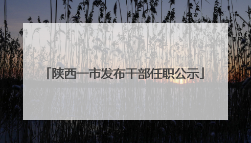 陕西一市发布干部任职公示