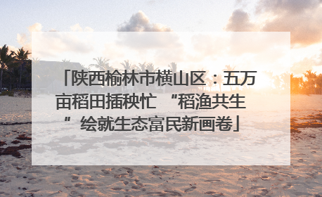 陕西榆林市横山区：五万亩稻田插秧忙 “稻渔共生”绘就生态富民新画卷