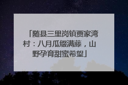随县三里岗镇贾家湾村：八月瓜缀满藤，山野孕育甜蜜希望