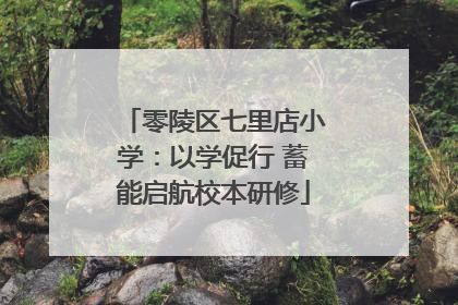 零陵区七里店小学：以学促行 蓄能启航校本研修
