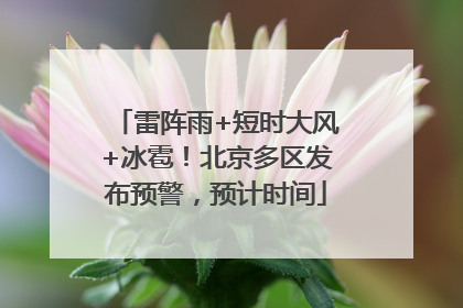 雷阵雨+短时大风+冰雹！北京多区发布预警，预计时间