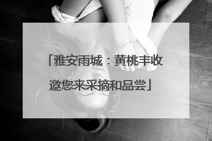 雅安雨城：黄桃丰收 邀您来采摘和品尝