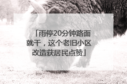 雨停20分钟路面就干，这个老旧小区改造获居民点赞