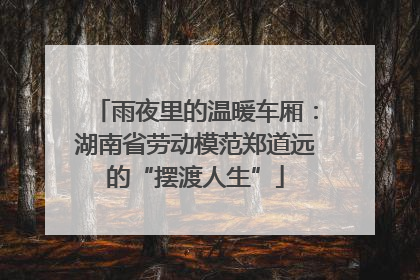 雨夜里的温暖车厢：湖南省劳动模范郑道远的“摆渡人生”