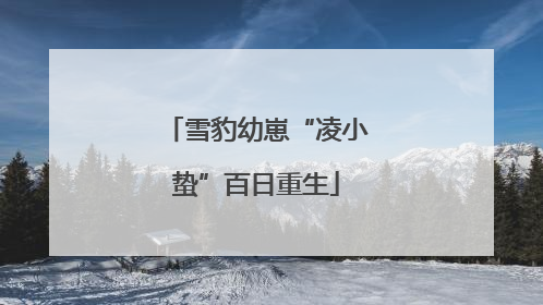 雪豹幼崽“凌小蛰”百日重生