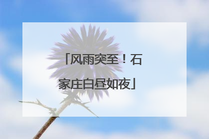 风雨突至！石家庄白昼如夜