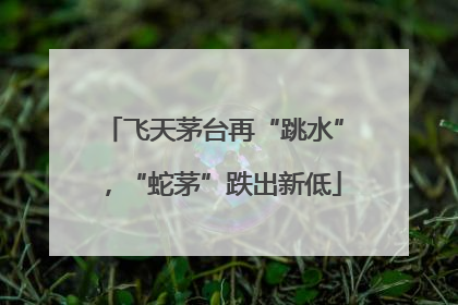 飞天茅台再“跳水”，“蛇茅”跌出新低