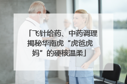 飞针给药、中药调理 揭秘华南虎“虎爸虎妈”的硬核温柔