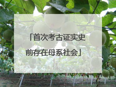首次考古证实史前存在母系社会
