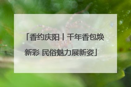 香约庆阳丨千年香包焕新彩 民俗魅力展新姿